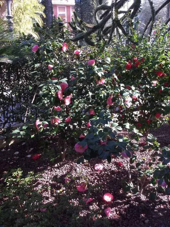 La Via Romana Boutique Guest House Bordighera Italy